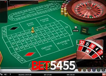 Descubra o Mundo do Cassino Online com bet5455